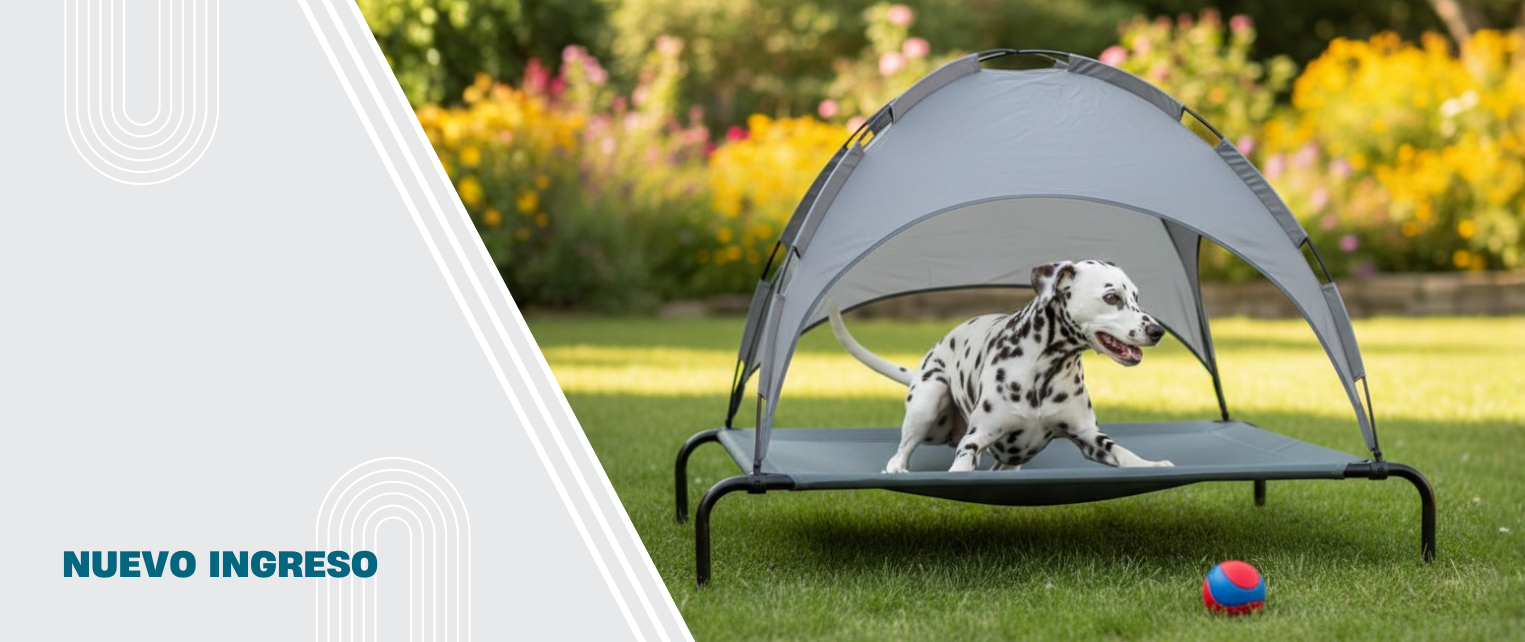 NUEVO INGRESO CATRE CON TECHO 55