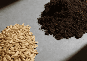 Repuesto - Kit preparador de pasto. Semillas de avena + Tierra